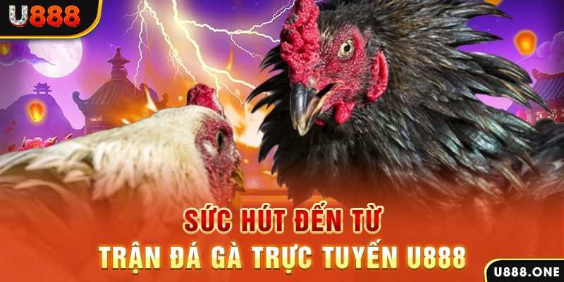 cwin666 đá gà trực tiếp c1