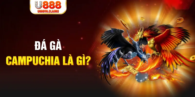 cwin666 bắn cá vàng h5