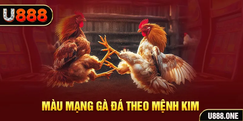 cwin666 Cỡ bảy