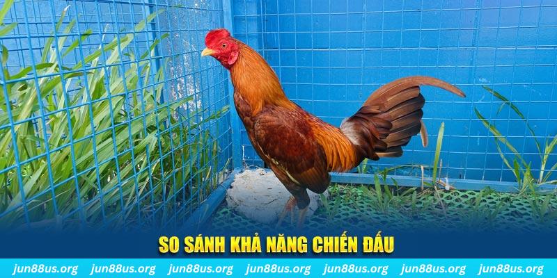cwin666 CQ9 Điện Tử