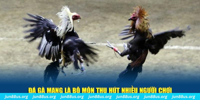 cwin666 bắn cá au88