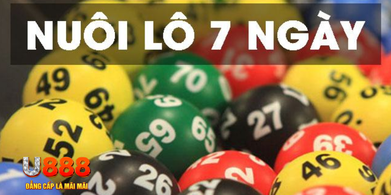 cwin666 what are slot machines