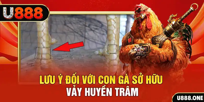 cwin666 kết quả xổ số miền nam hôm nay