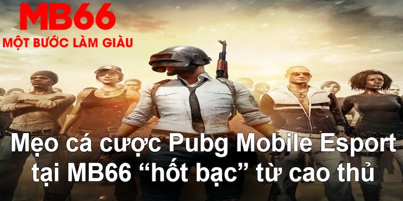 cwin666 VA Bắn cá