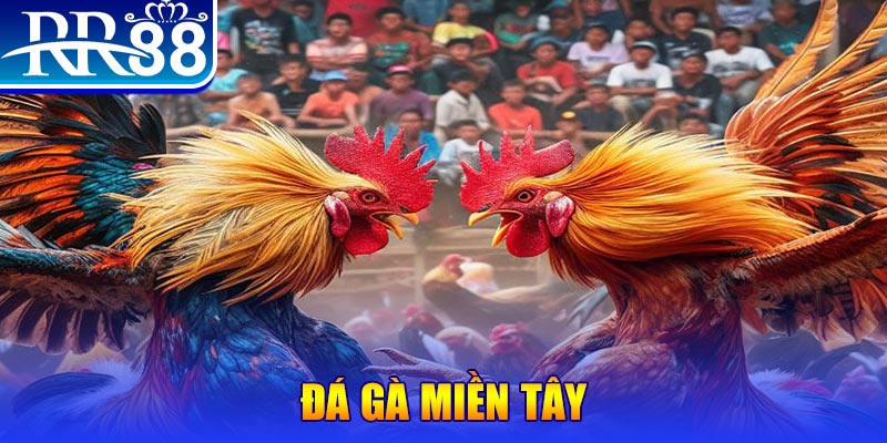 cwin666 no hu doi thuong ai