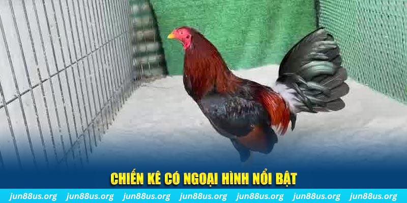 cwin666 game nổ hũ là gì