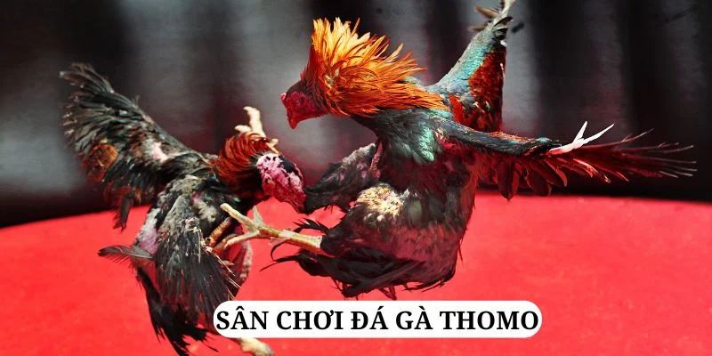 cwin666 trực tiếp xổ số miền bắc